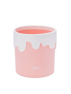 אירגונית קטנה ומתוקה