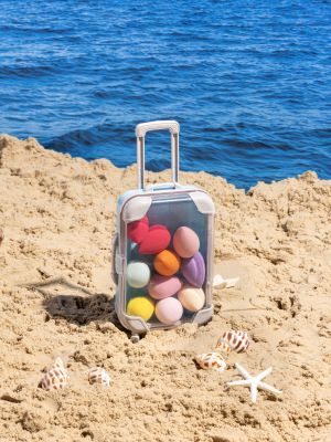 סט בלנדרים מזוודה