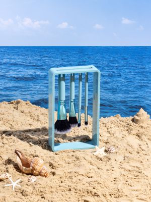 מארז מברשות איפור מגנטי - פרש